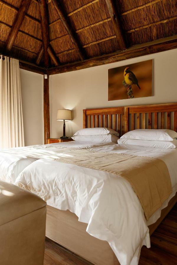 Addo Wildlife Villa Exterior photo